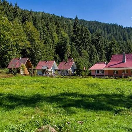 Cabana Valea Stanciului Rachitele Exterior photo