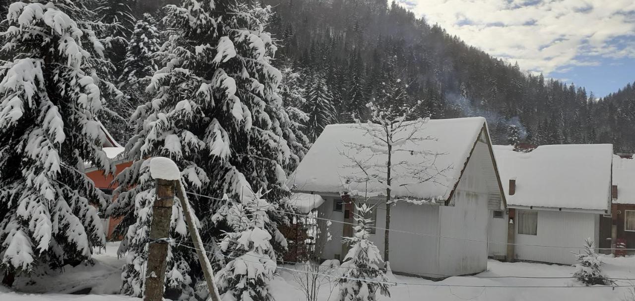 Cabana Valea Stanciului Rachitele Exterior photo