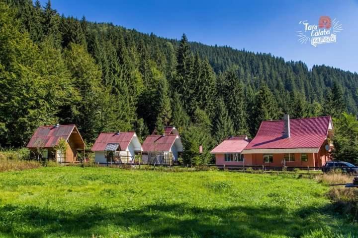 Cabana Valea Stanciului Rachitele Exterior photo