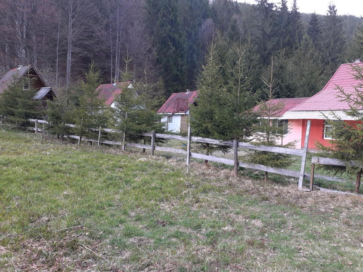 Cabana Valea Stanciului Rachitele Exterior photo
