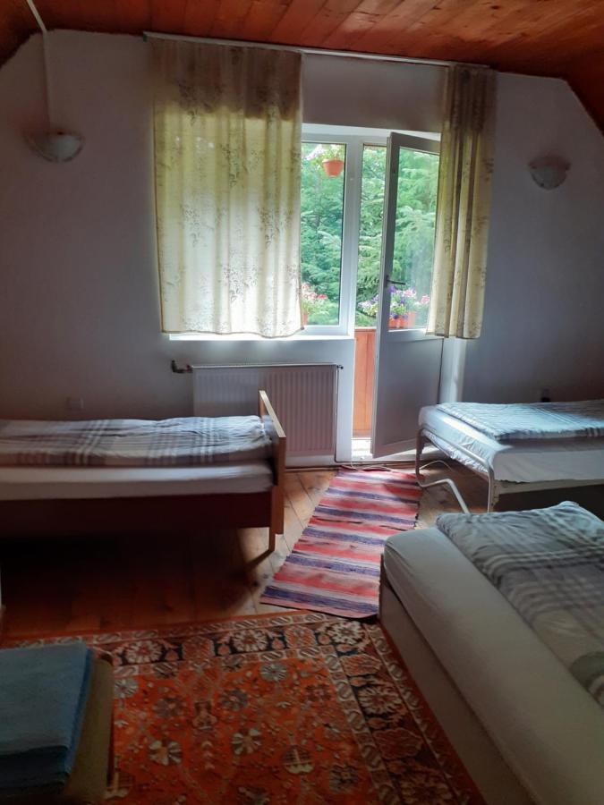 Cabana Valea Stanciului Rachitele Exterior photo