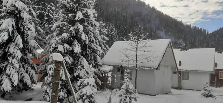 Cabana Valea Stanciului Rachitele Exterior photo